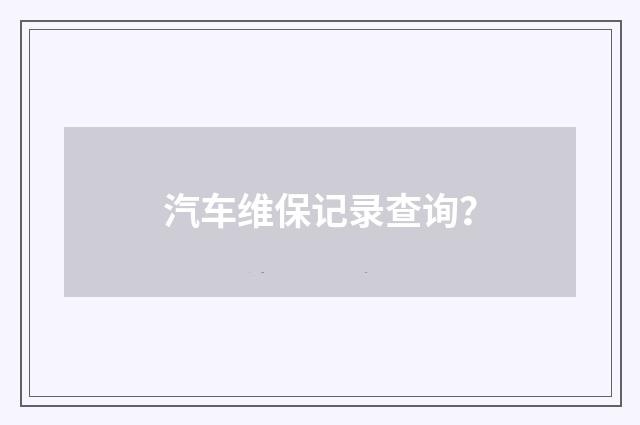 汽车维保记录查询?