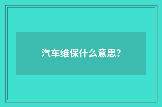 汽车维保什么意思？