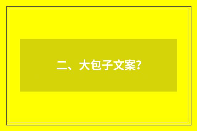 二、大包子文案？