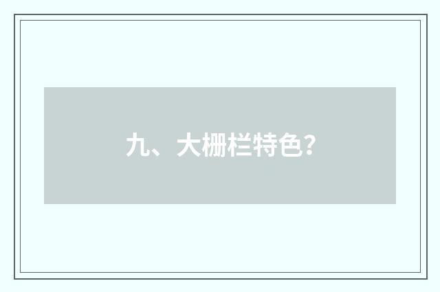 九、大栅栏特色？