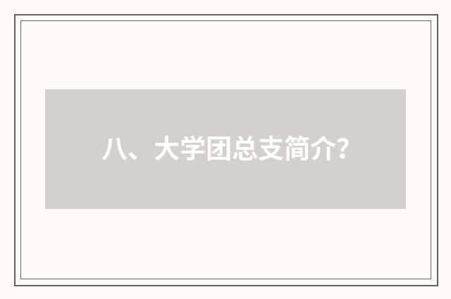 八、大学团总支简介？