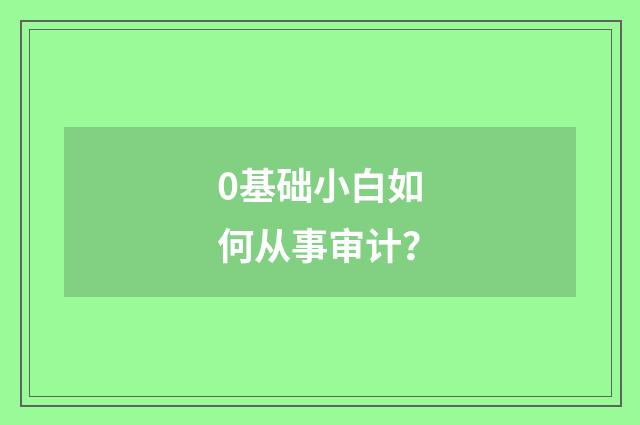 0基础小白如何从事审计?