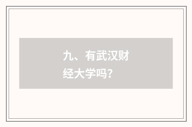 九、有武汉财经大学吗?