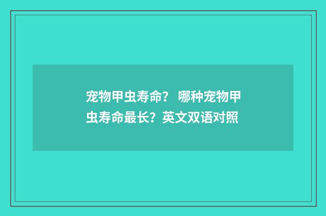 宠物甲虫寿命? 哪种宠物甲虫寿命最长?英文双语对照
