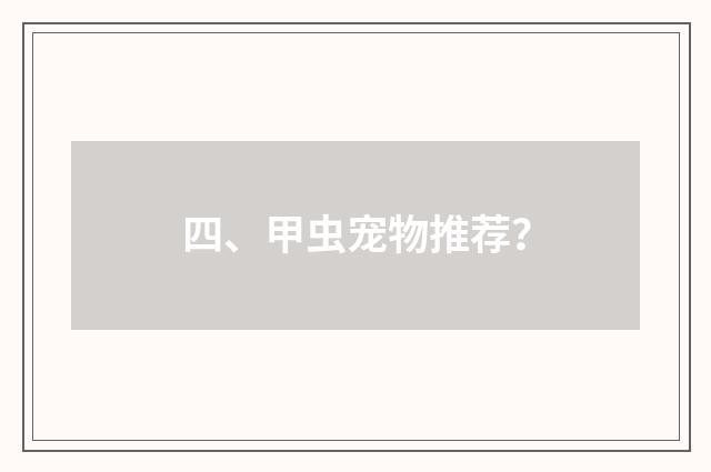 四、甲虫宠物推荐？