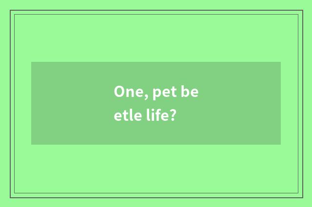 One, pet beetle life?