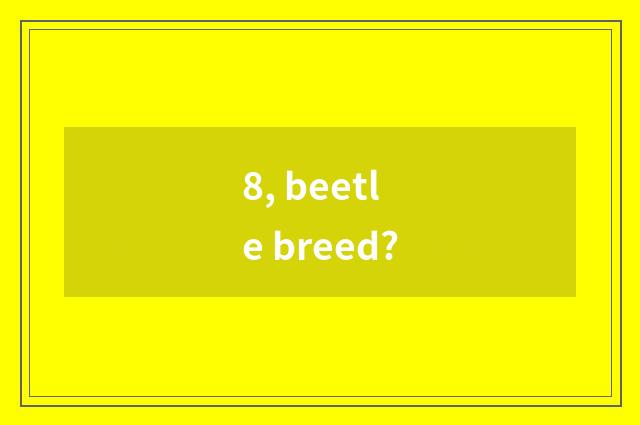 8, beetle breed?