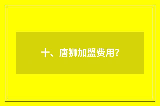 十、唐狮加盟费用？