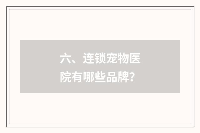 六、连锁宠物医院有哪些品牌？