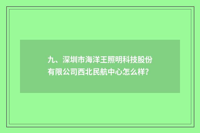 九、深圳市海洋王照明科技股份有限公司西北民航中心怎么样?