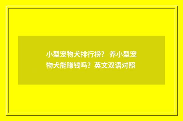 小型宠物犬排行榜? 养小型宠物犬能赚钱吗?英文双语对照