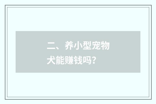 二、养小型宠物犬能赚钱吗?