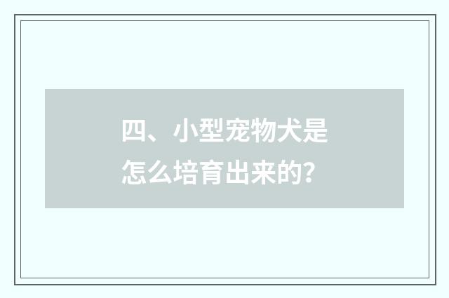 四、小型宠物犬是怎么培育出来的?