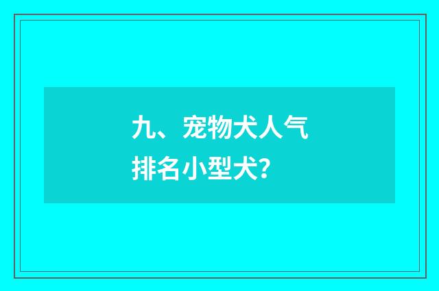 九、宠物犬人气排名小型犬?
