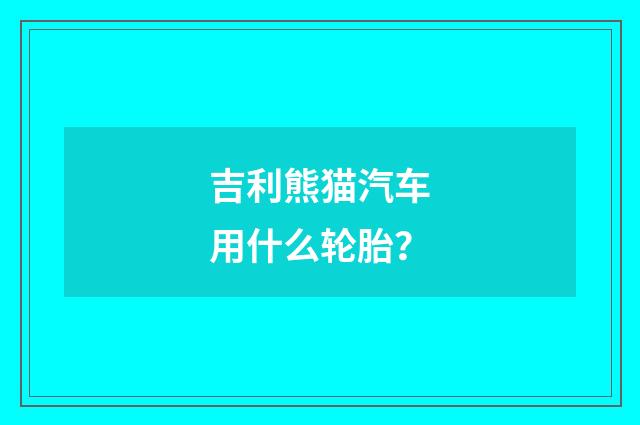 吉利熊猫汽车用什么轮胎?