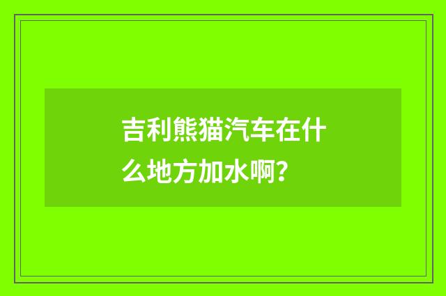 吉利熊猫汽车在什么地方加水啊?
