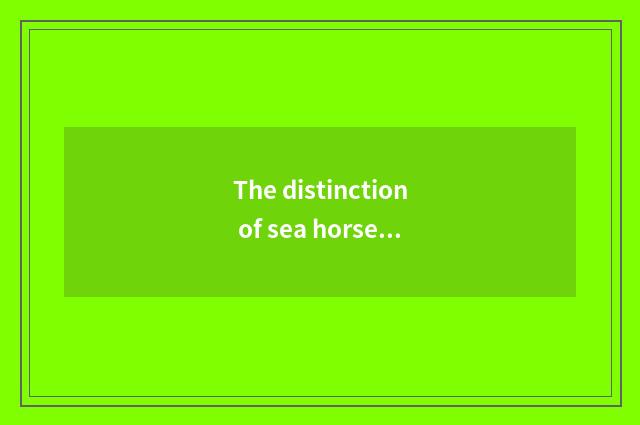 The distinction of sea horse Zhengzhou and sea horse?