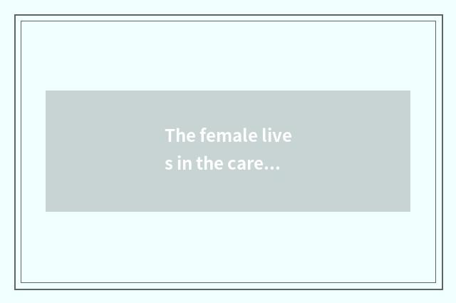 The female lives in the care and maintenance that take