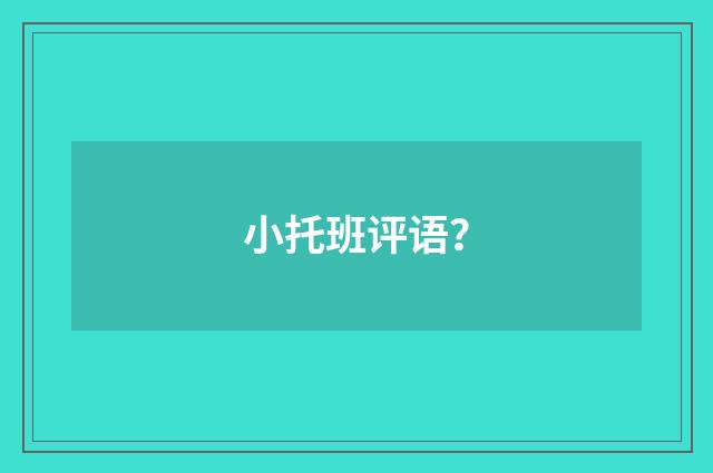 小托班评语?