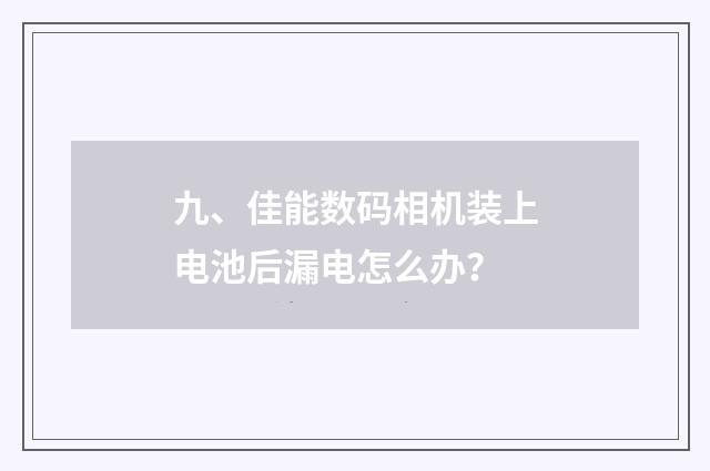 九、佳能数码相机装上电池后漏电怎么办?
