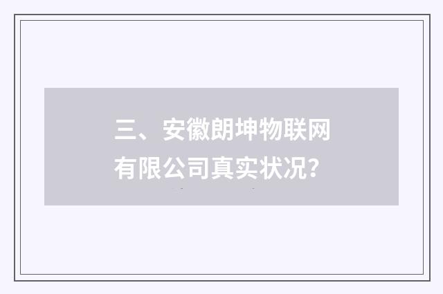 三、安徽朗坤物联网有限公司真实状况?