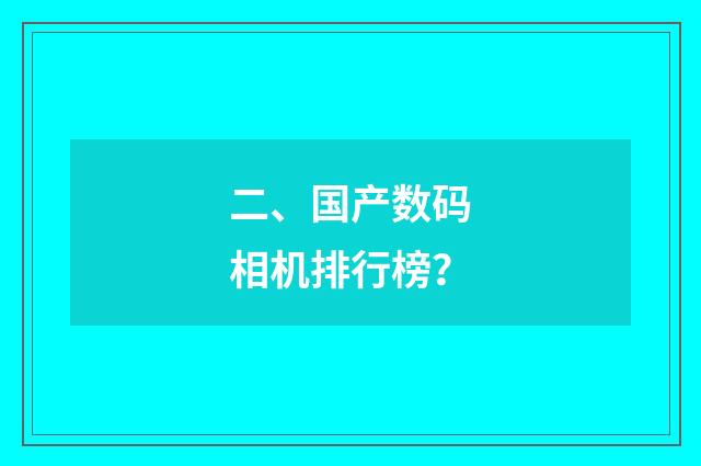 二、国产数码相机排行榜?
