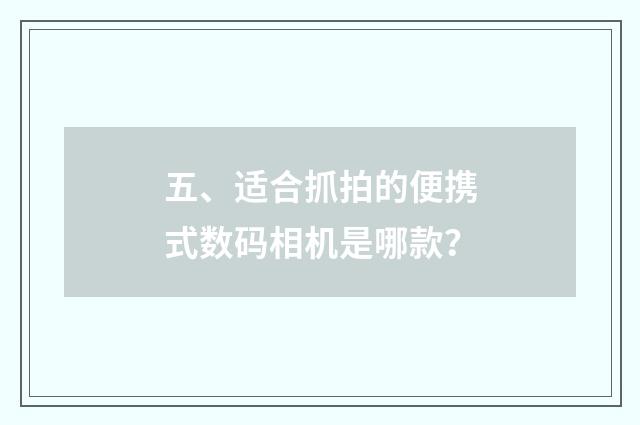 五、适合抓拍的便携式数码相机是哪款?