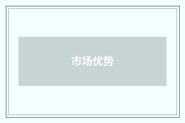 市场优势