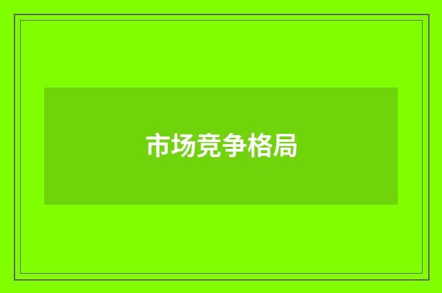 市场竞争格局