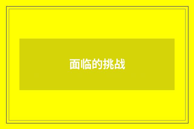 面临的挑战