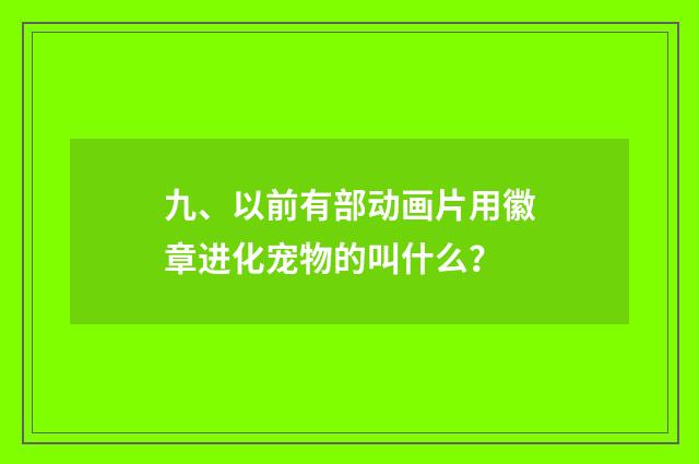 九、以前有部动画片用徽章进化宠物的叫什么?