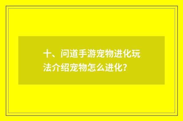 十、问道手游宠物进化玩法介绍宠物怎么进化？