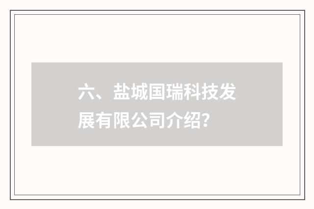 六、盐城国瑞科技发展有限公司介绍？