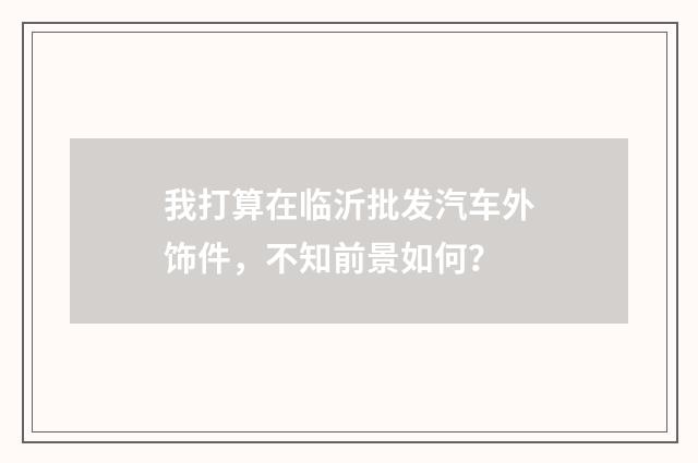 我打算在临沂批发汽车外饰件,不知前景如何?
