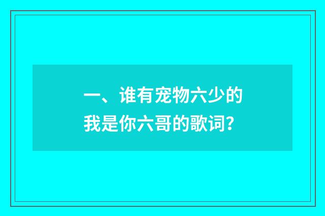一、谁有宠物六少的我是你六哥的歌词？