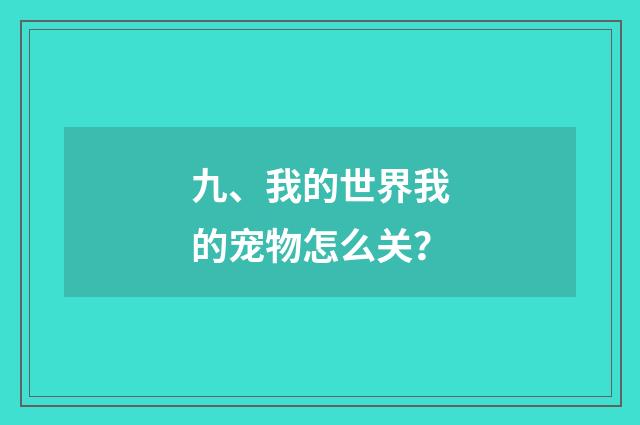 九、我的世界我的宠物怎么关?