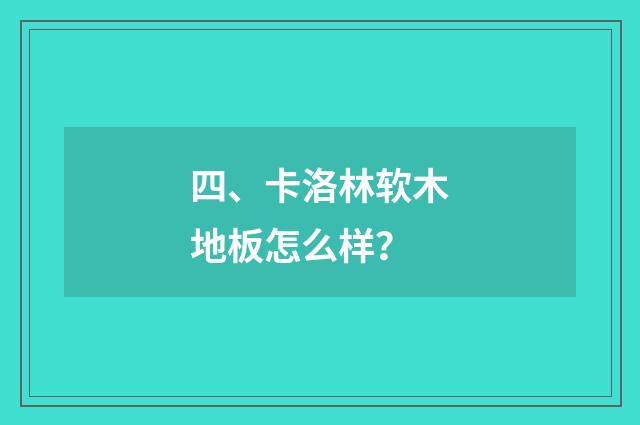 四、卡洛林软木地板怎么样?