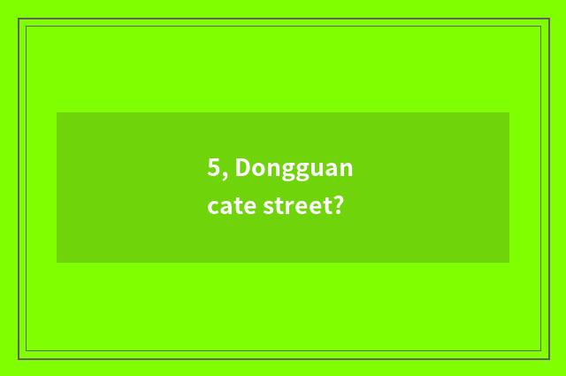 5, Dongguan cate street?