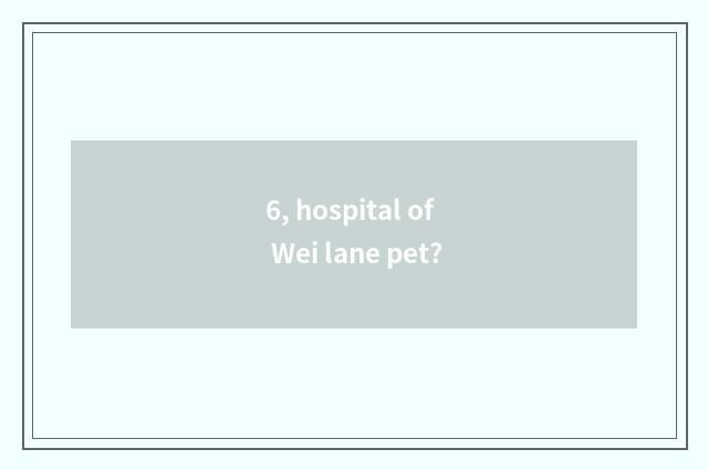 6, hospital of Wei lane pet?