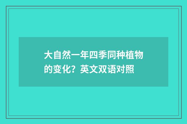 大自然一年四季同种植物的变化？英文双语对照