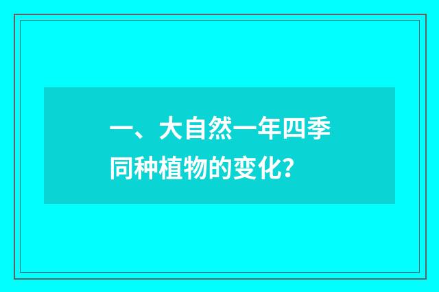 一、大自然一年四季同种植物的变化?