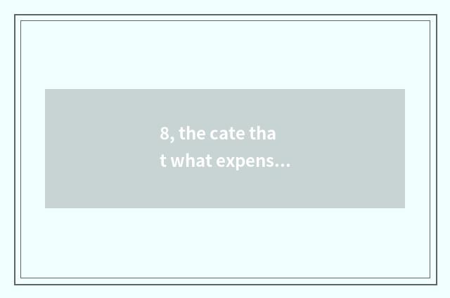 8, the cate that what expensive harbor has to be worth to recommend?