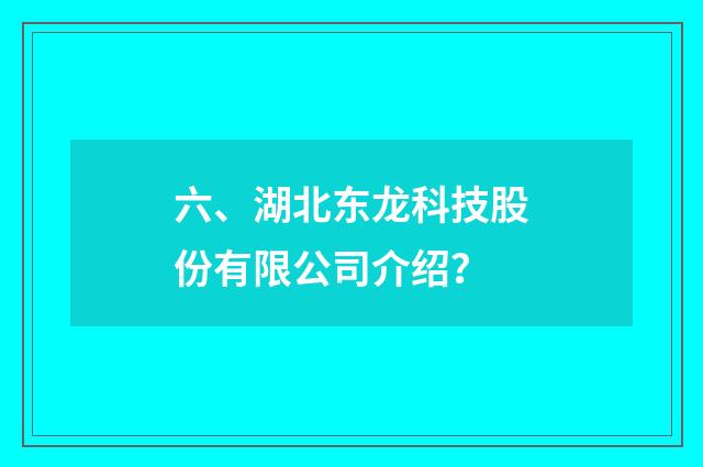 六、湖北东龙科技股份有限公司介绍？
