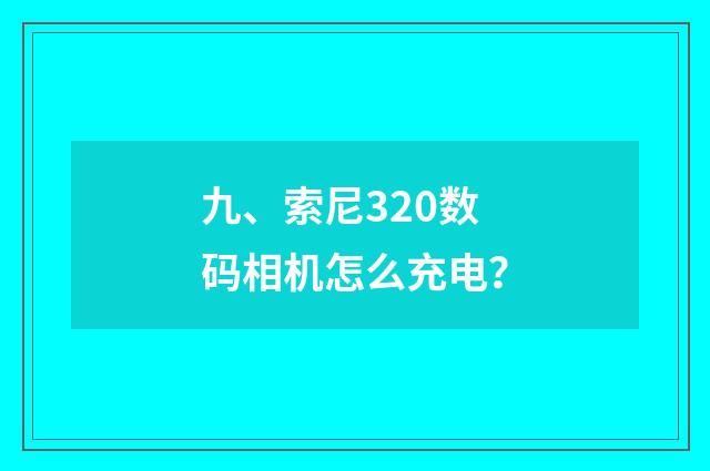 九、索尼320数码相机怎么充电?
