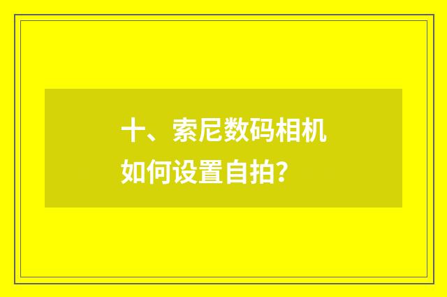 十、索尼数码相机如何设置自拍?