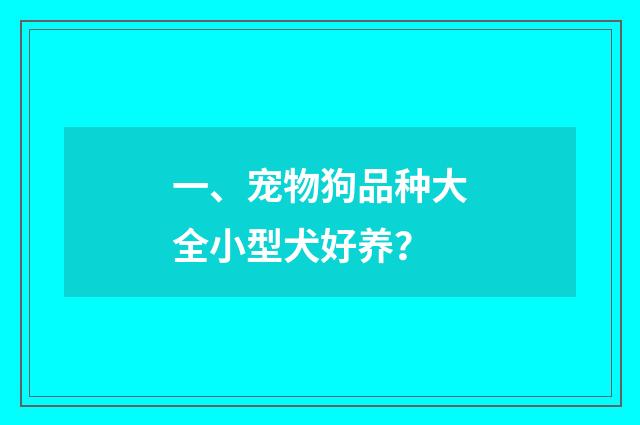 一、宠物狗品种大全小型犬好养?