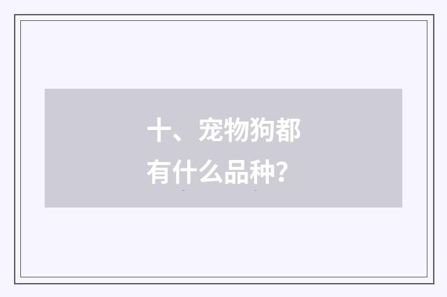 十、宠物狗都有什么品种?