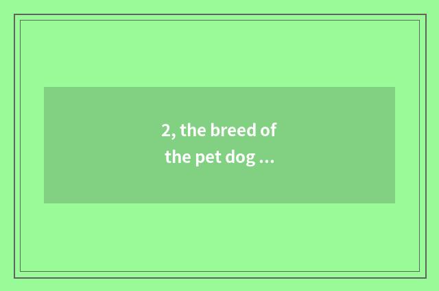 2, the breed of the pet dog of jujube village and price?