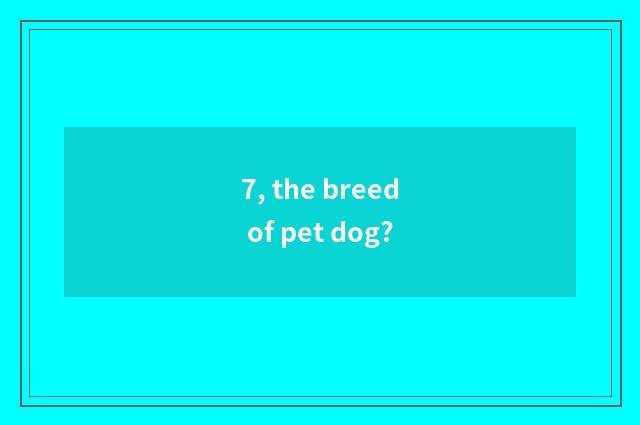 7, the breed of pet dog?