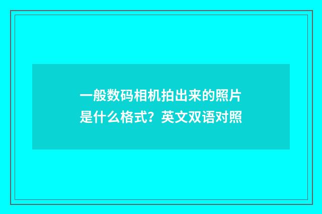 一般数码相机拍出来的照片是什么格式?英文双语对照